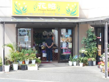 夏休み|「花昭」　（神奈川県藤沢市の花屋）のブログ